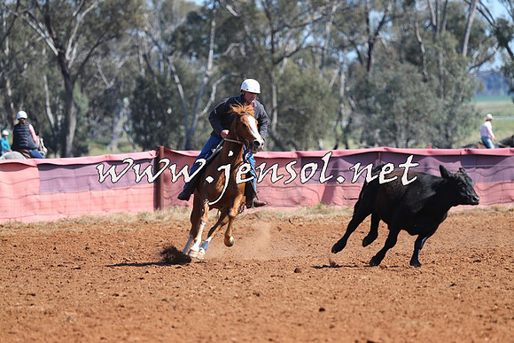 IllaboCampdraft2014_0145