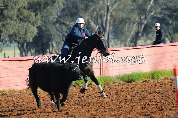 IllaboCampdraft2014_0010