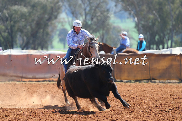 IllaboCampdraft2014_0297