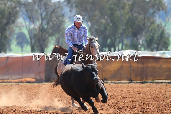 IllaboCampdraft2014_0300