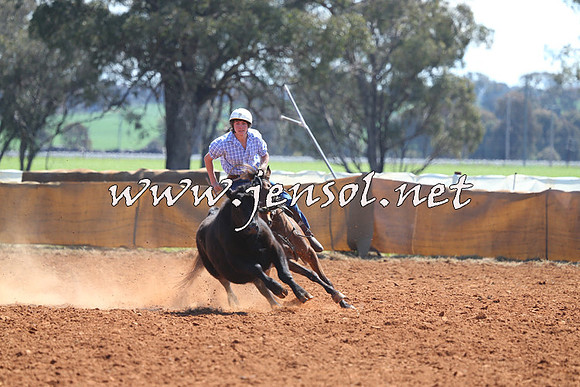 IllaboCampdraft2014_0321