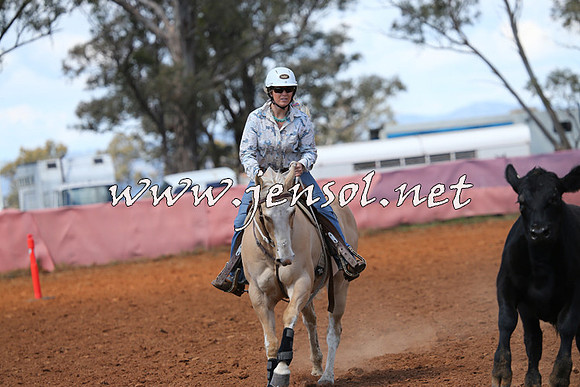 IllaboCampdraft2014_0416