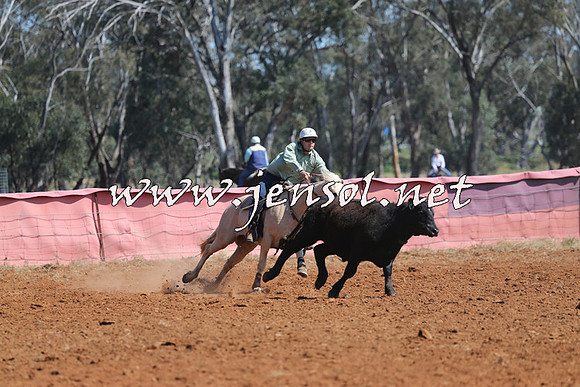 IllaboCampdraft2014_0223