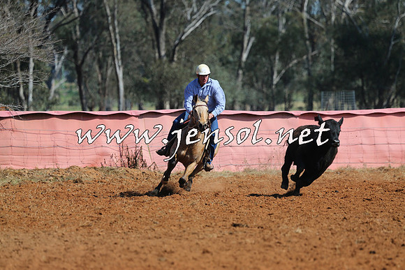 IllaboCampdraft2014_0092