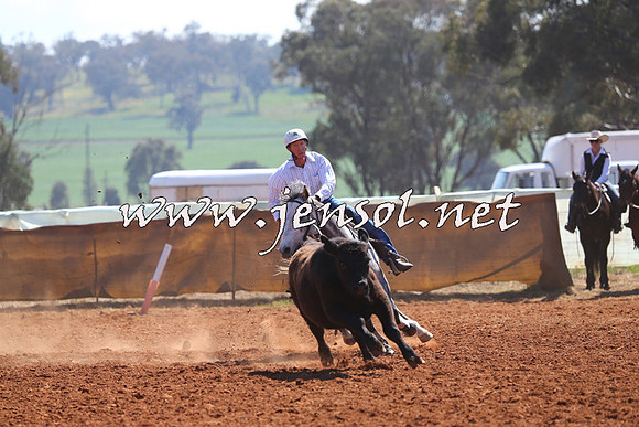 IllaboCampdraft2014_0236