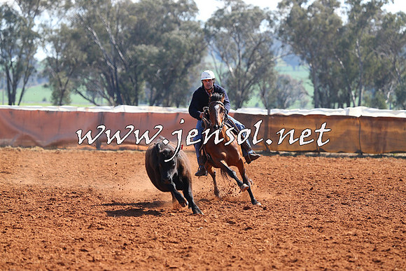 IllaboCampdraft2014_0129