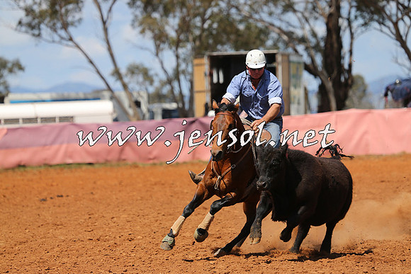 IllaboCampdraft2014_0447