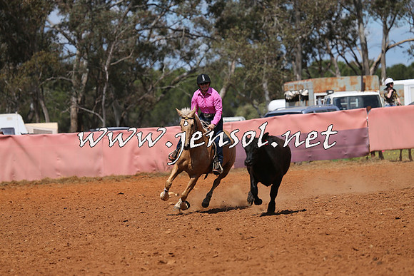 IllaboCampdraft2014_0465