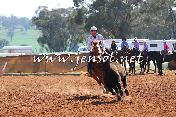 IllaboCampdraft2014_0252