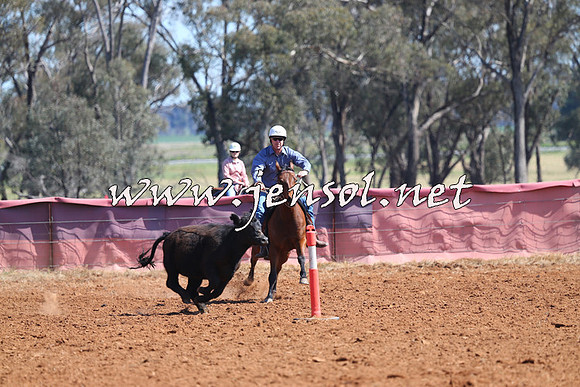 IllaboCampdraft2014_0212