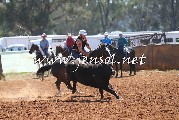 IllaboCampdraft2014_0313