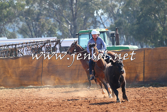 IllaboCampdraft2014_0121