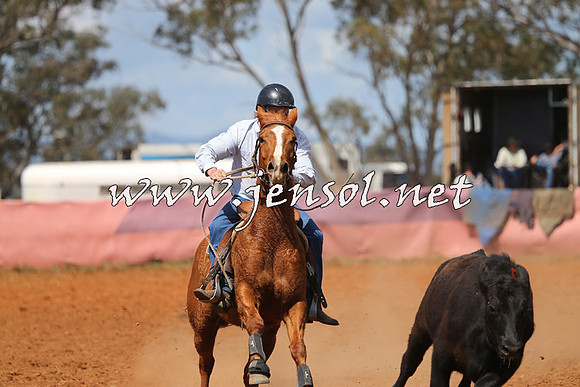 IllaboCampdraft2014_0463