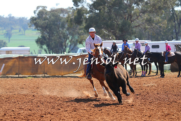 IllaboCampdraft2014_0251
