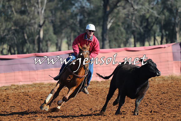 IllaboCampdraft2014_0015