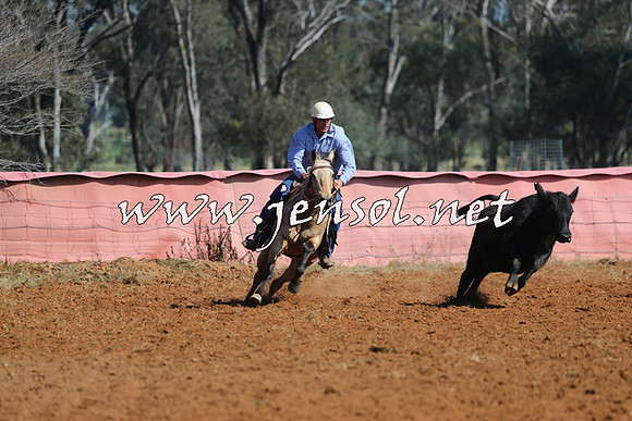 IllaboCampdraft2014_0093