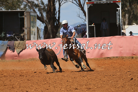 IllaboCampdraft2014_0396