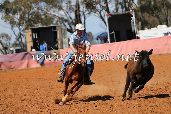 IllaboCampdraft2014_0363