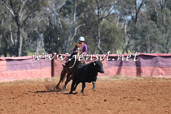 IllaboCampdraft2014_0078