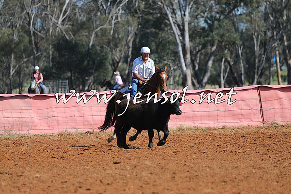 IllaboCampdraft2014_0140