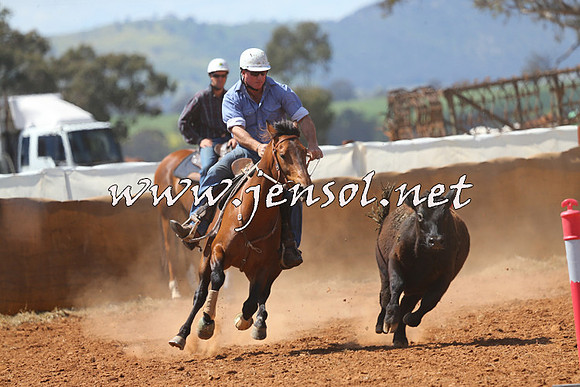 IllaboCampdraft2014_0408