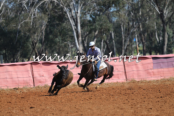 IllaboCampdraft2014_0103