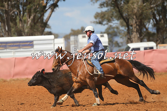 IllaboCampdraft2014_0403