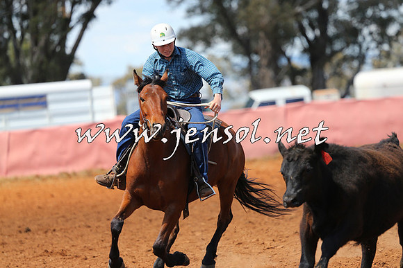 IllaboCampdraft2014_0357