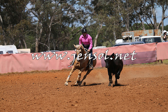 IllaboCampdraft2014_0466