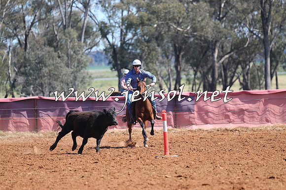 IllaboCampdraft2014_0211