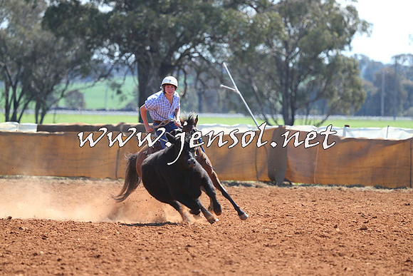 IllaboCampdraft2014_0320