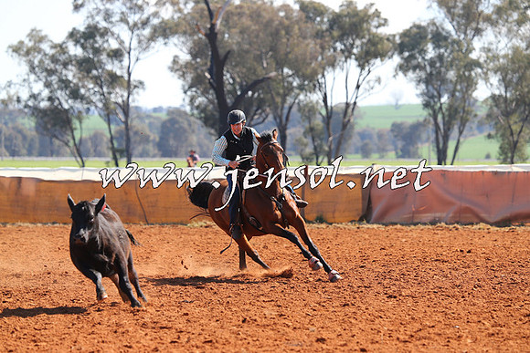 IllaboCampdraft2014_0150