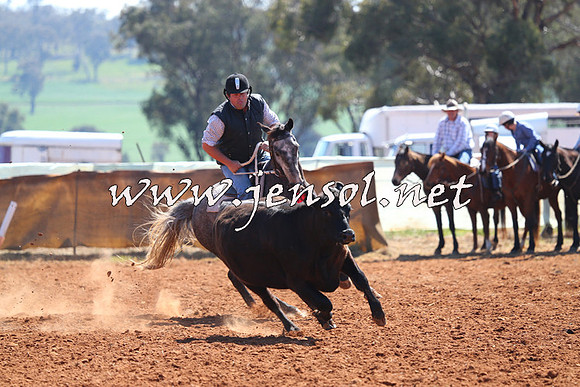IllaboCampdraft2014_0269