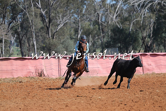 IllaboCampdraft2014_0148