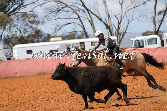 IllaboCampdraft2014_0418