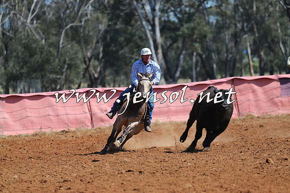 IllaboCampdraft2014_0291