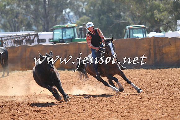 IllaboCampdraft2014_0315