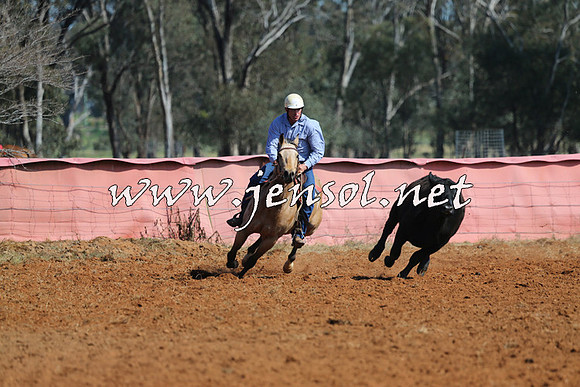 IllaboCampdraft2014_0091