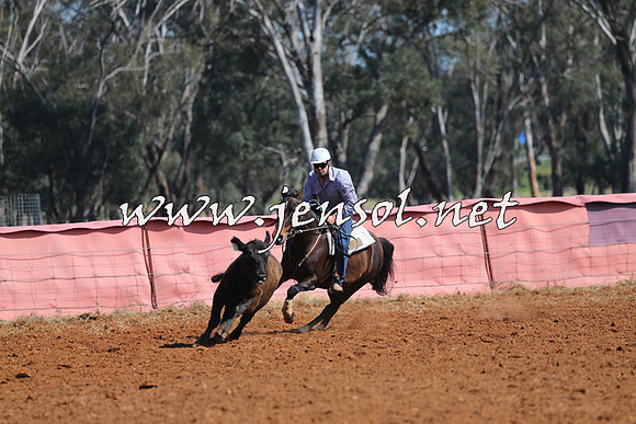 IllaboCampdraft2014_0104
