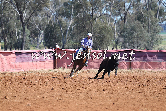 IllaboCampdraft2014_0216