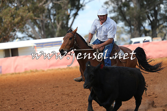 IllaboCampdraft2014_0415