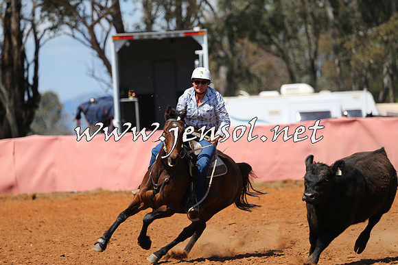 IllaboCampdraft2014_0373