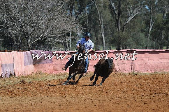 IllaboCampdraft2014_0187