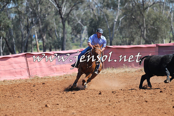 IllaboCampdraft2014_0259