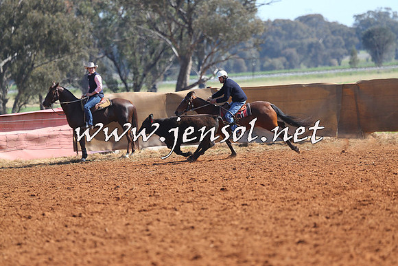IllaboCampdraft2014_0133