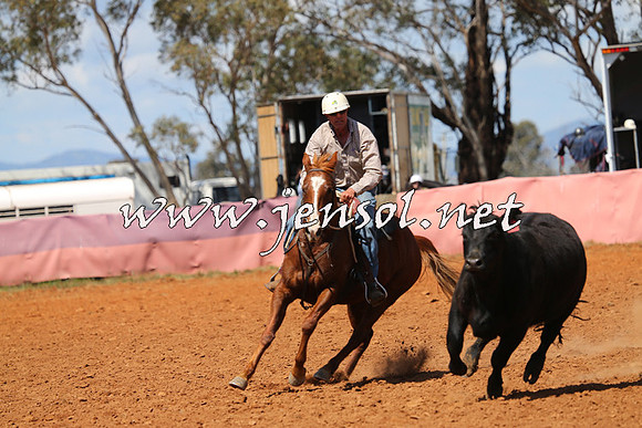 IllaboCampdraft2014_0425