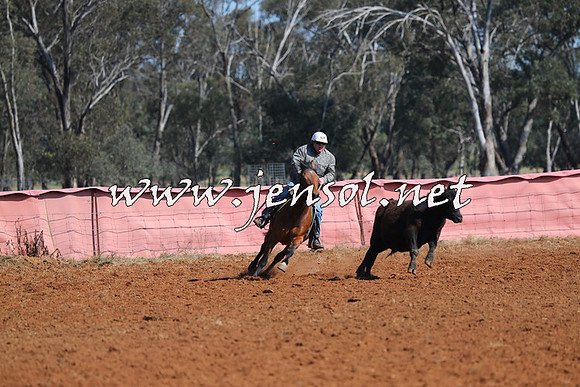 IllaboCampdraft2014_0114