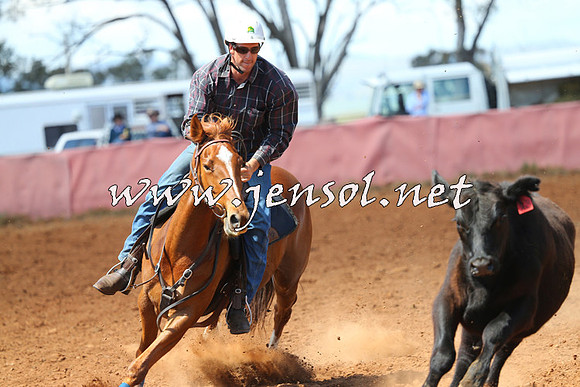 IllaboCampdraft2014_0349