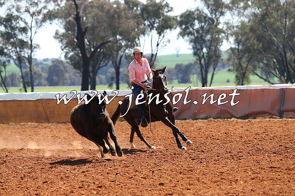 IllaboCampdraft2014_0284