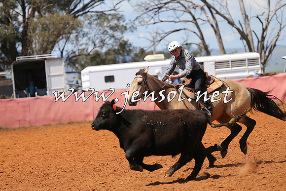 IllaboCampdraft2014_0419